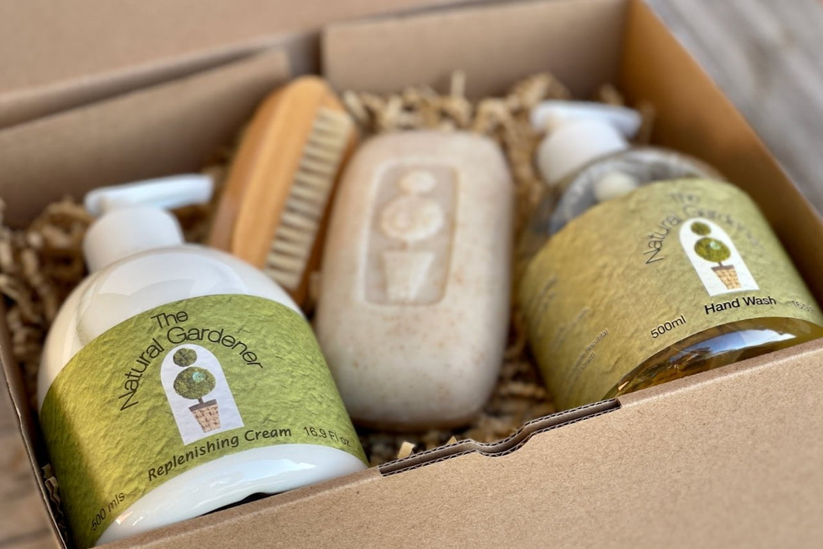 Thoughtful Thank You Gifts | Succulent & Eco-Friendly Hampers