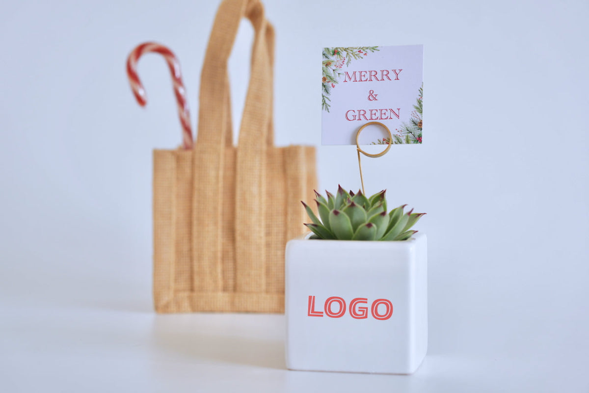 Succulent in white ceramic pot with added company logo and jute gift bag and Christmas decoration