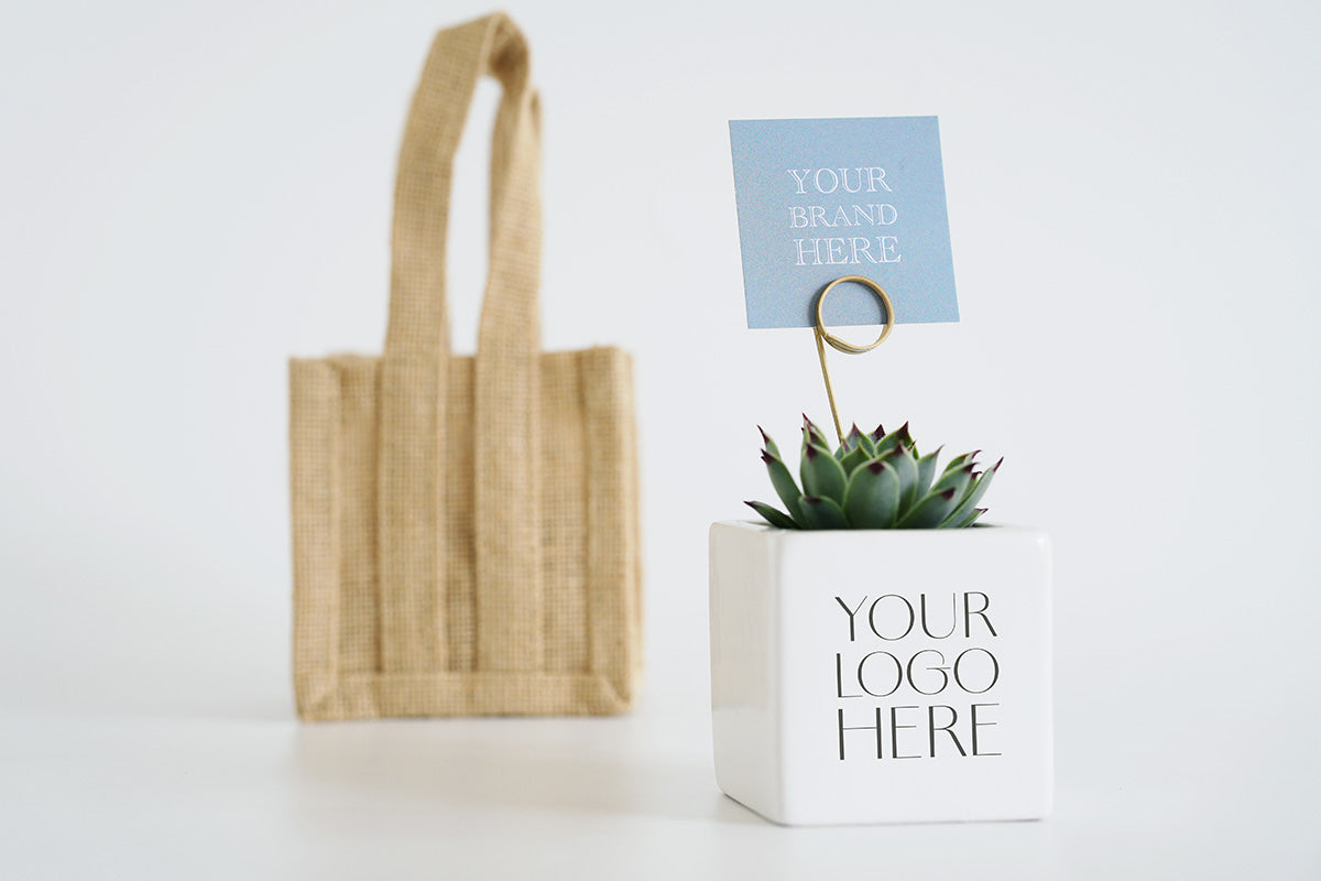 Branded Succulent Pot in A Jute Bag - Staff Thank You Gift