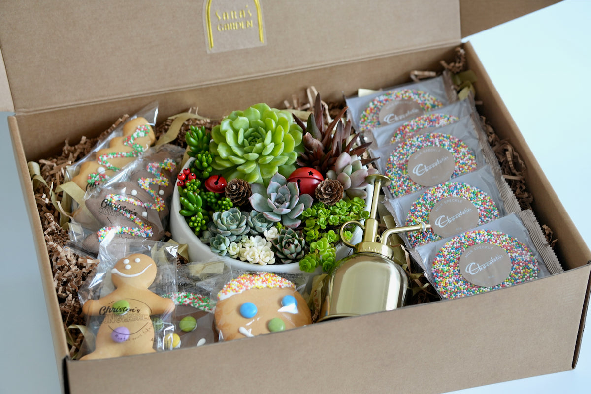 Large Christmas Corporate Gift Hamper | Office Plant & Sweet Treats