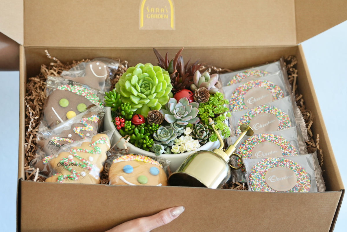 Large Christmas Corporate Gift Hamper | Office Plant & Sweet Treats