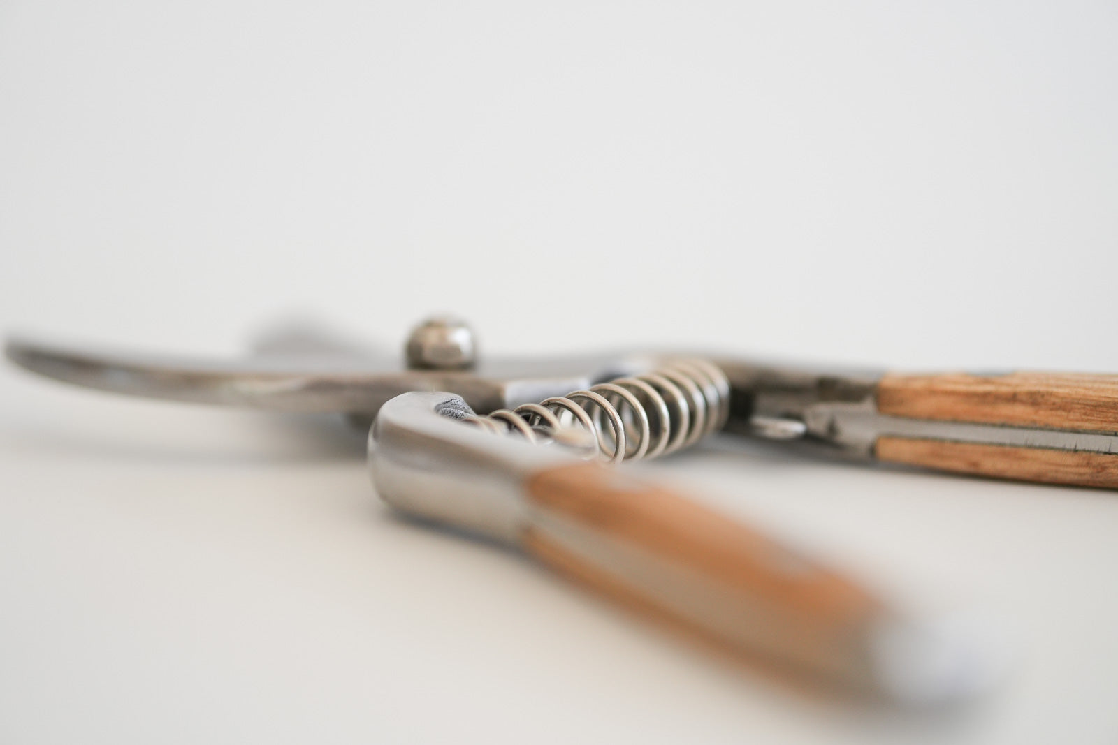 Artisan Stainless Steel Pruning Snips