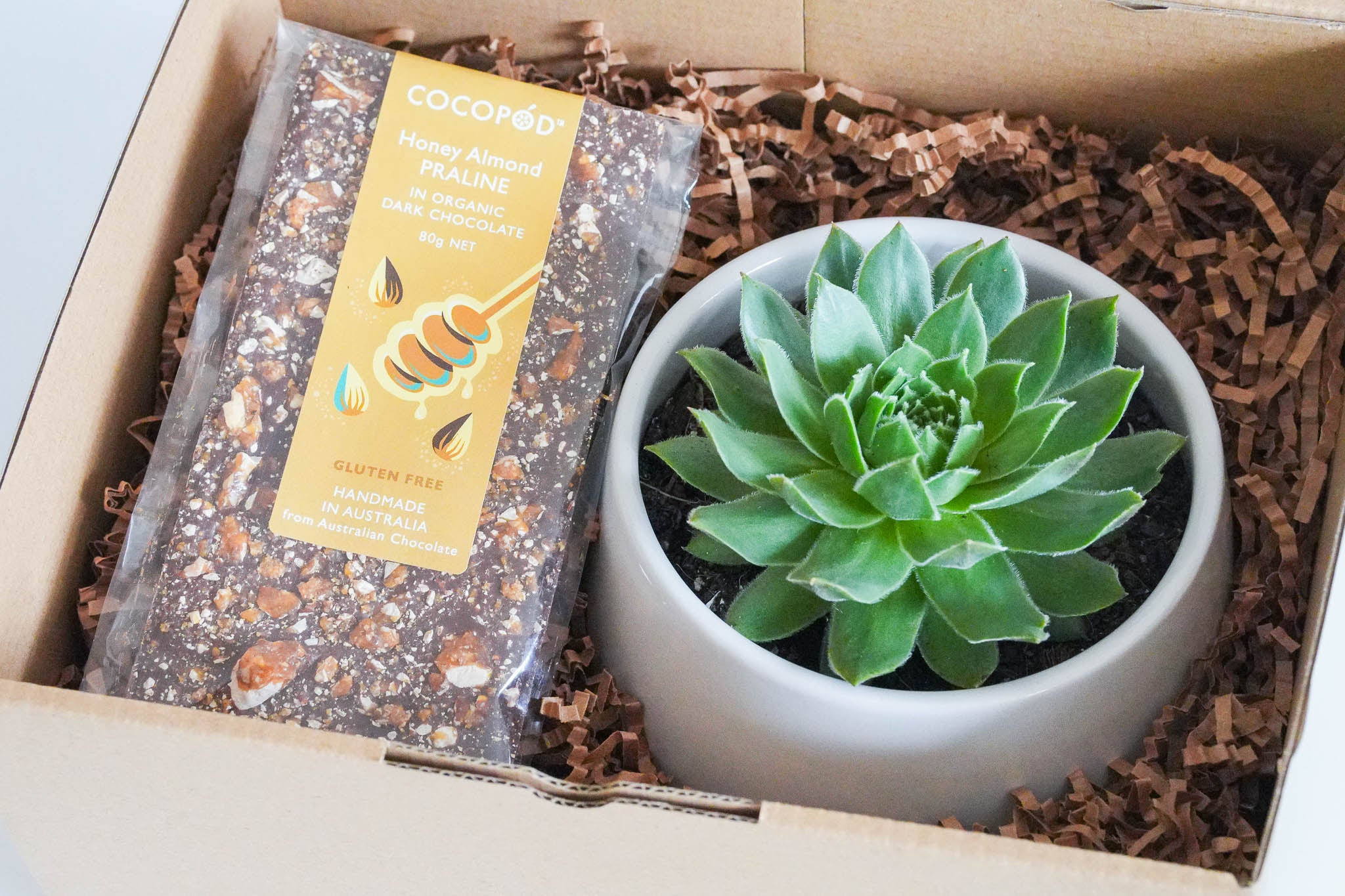 Succulent Gift Box with Chocolate
