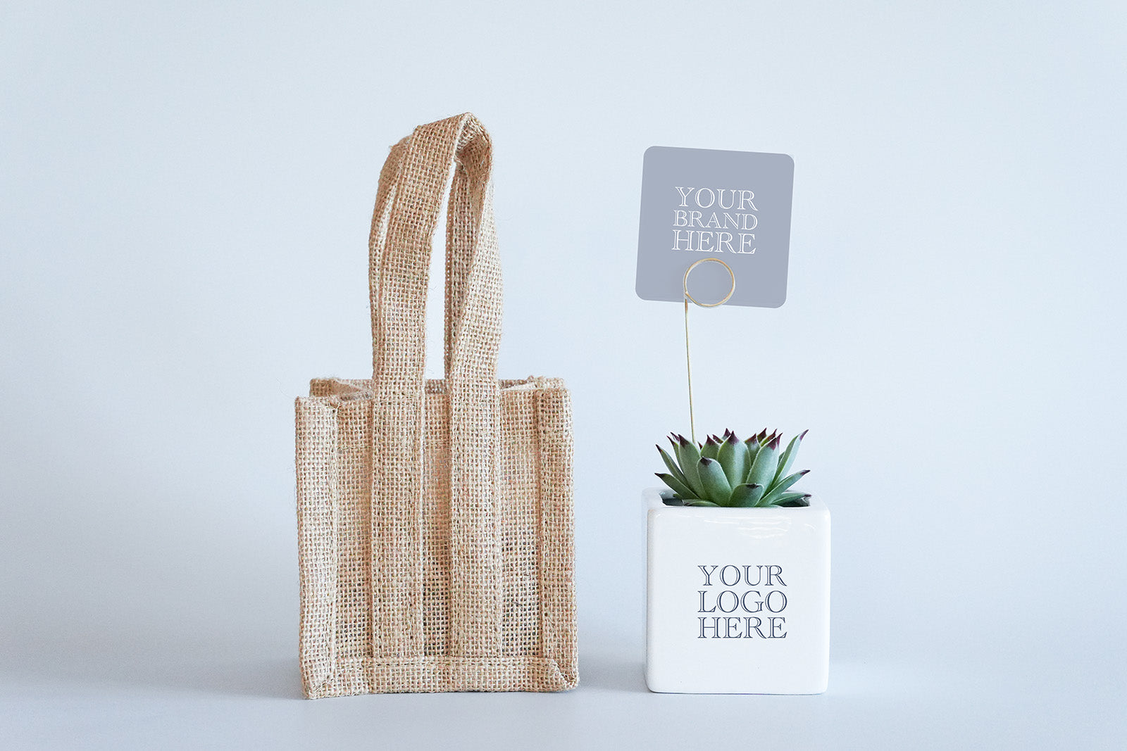 Branded Succulent Pot in A Jute Bag - Staff Thank You Gift