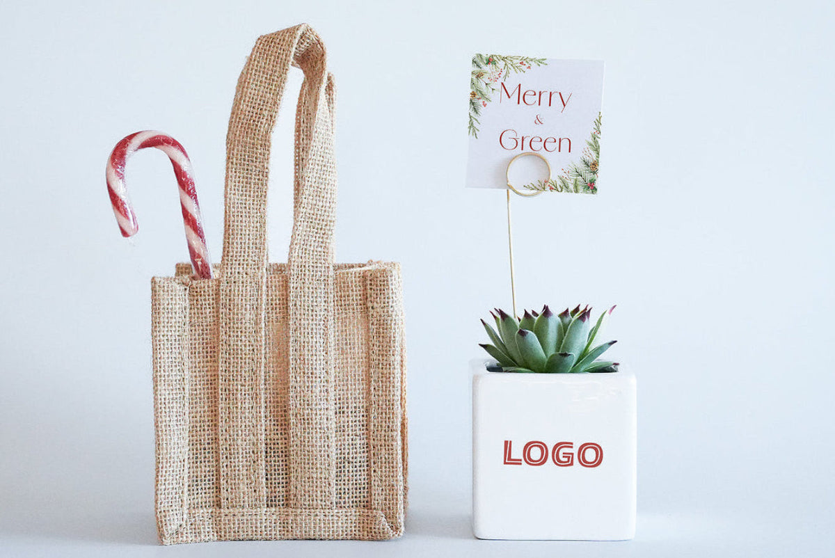 Christmas succulent gift in white square ceramic pot with printed logo, Jute bag and gift card and card holder