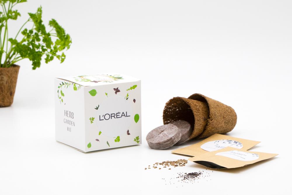 Organic Herb Garden kit