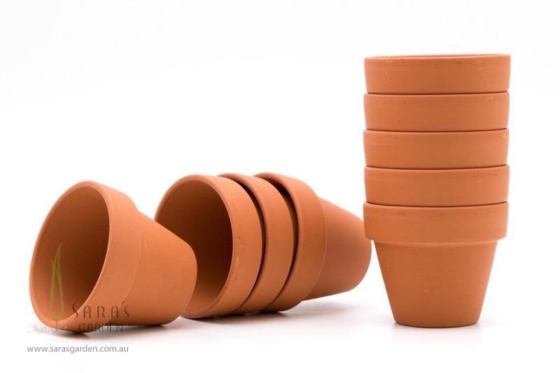 Mini Terracotta Pot