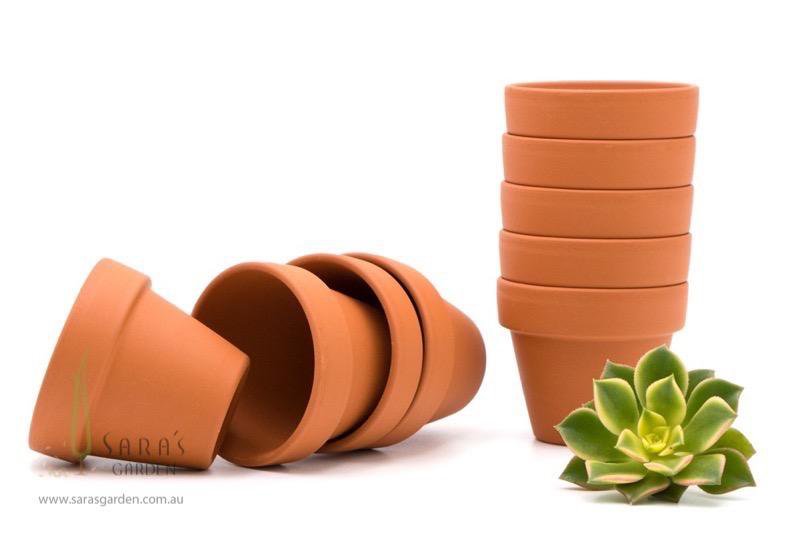 Mini Terracotta Pot