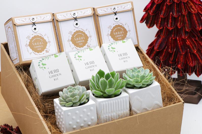 succulent packaging ideas Succulents & Teas Gift Box No.1
