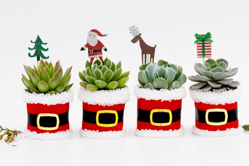 christmas succulent gift ideas Santa Succulent Gift