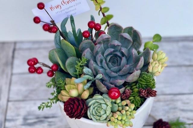succulent christmas arrangements Succulent Garden | Christmas Succulent Arrangement