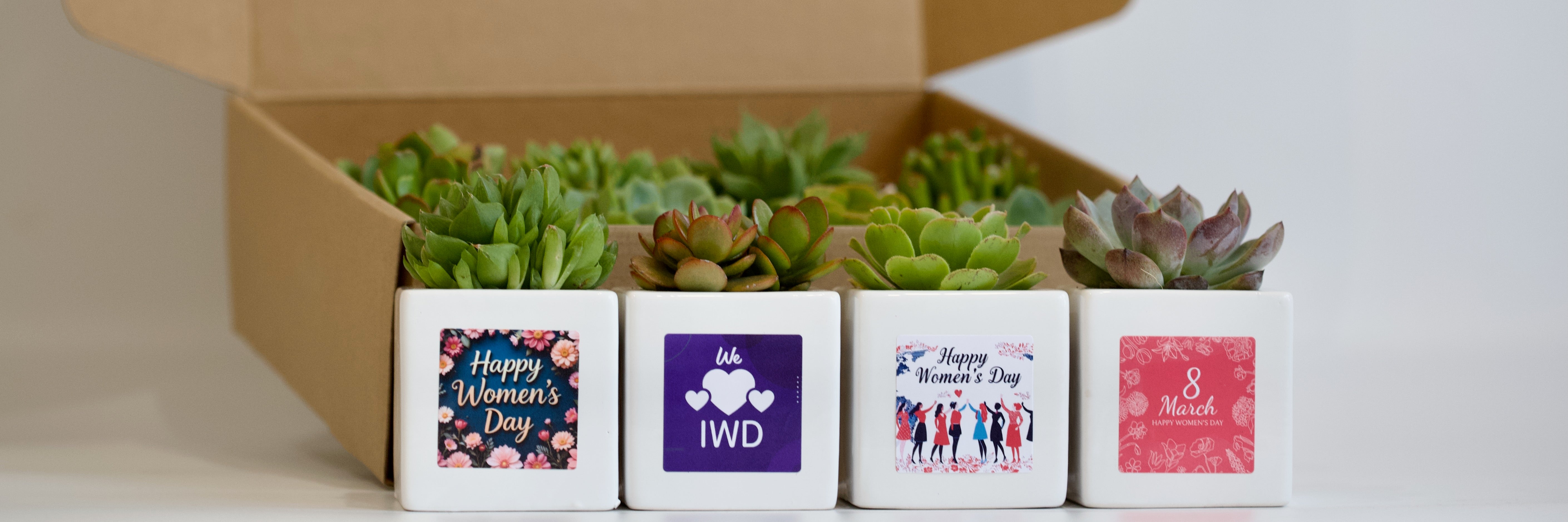 International Women’s Day Plant Gifts 