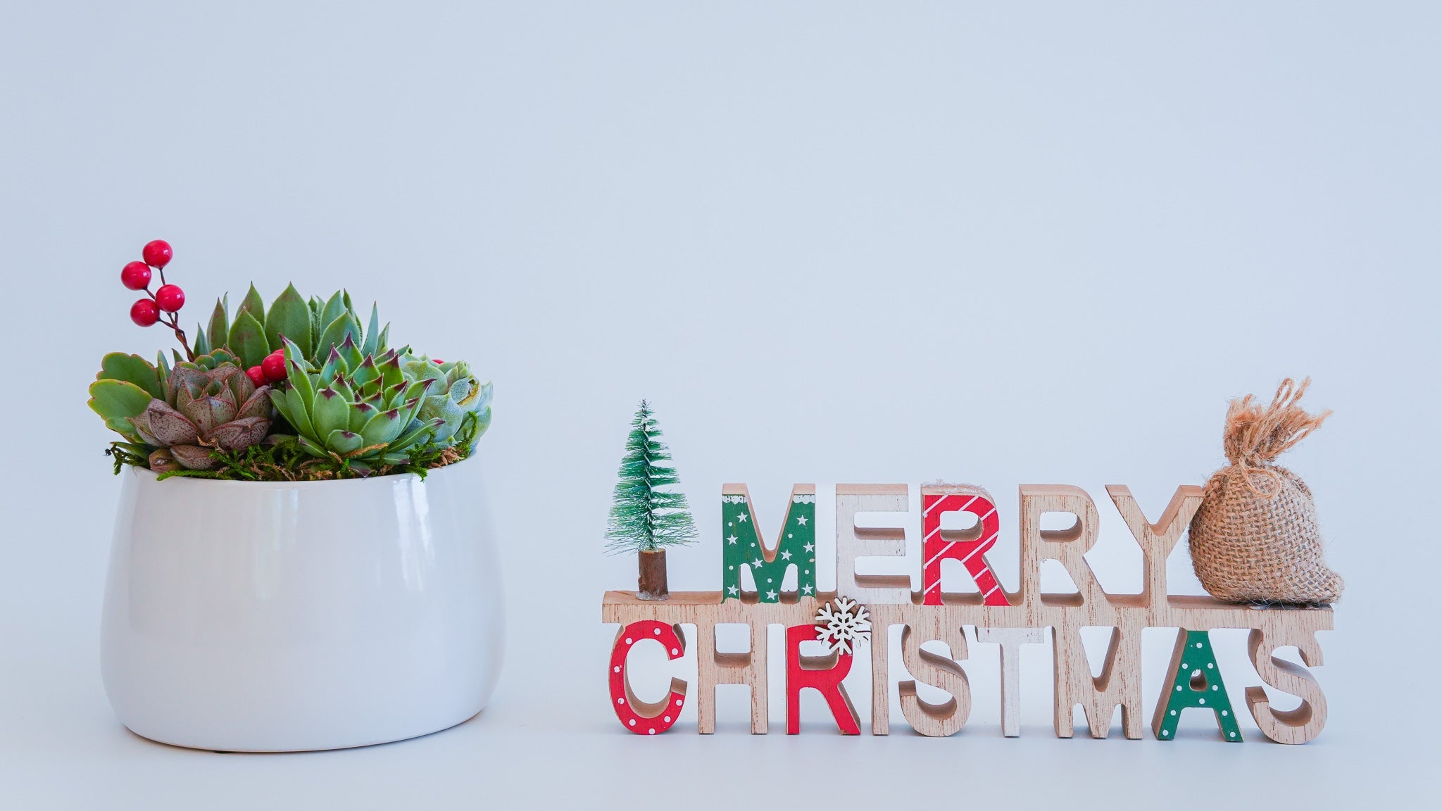 Christmas Plant Gifts