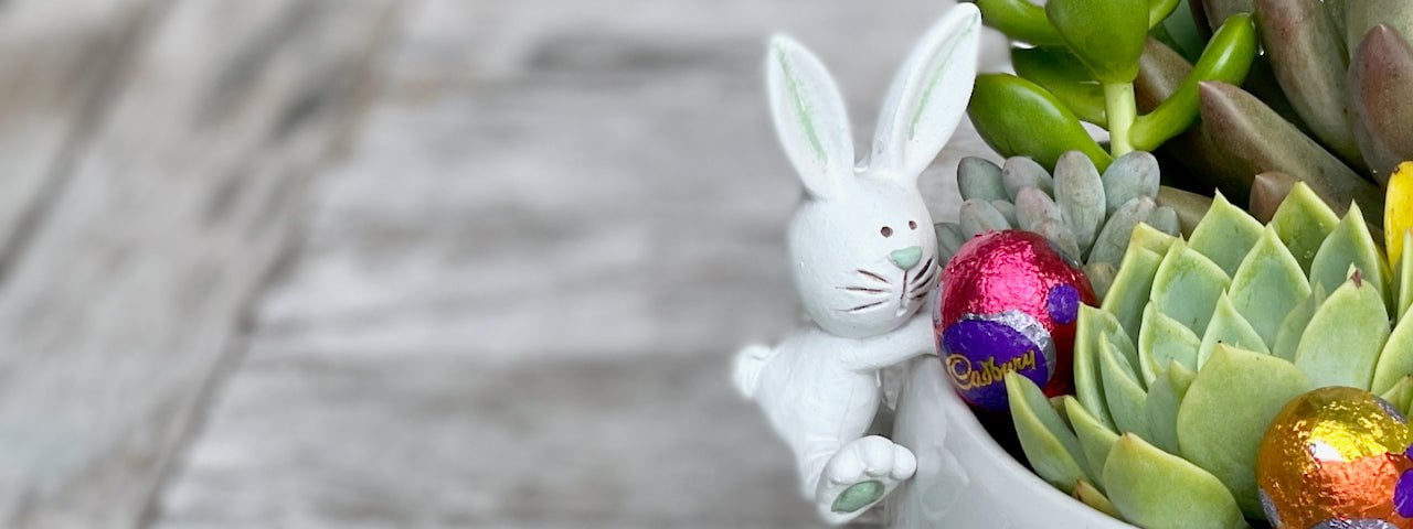Easter Plant Gifts