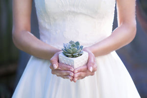 Succulent Wedding Favours & Gifts
