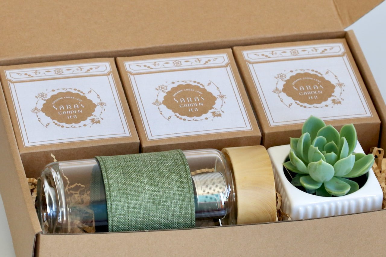 Organic tea gift set & Glass Tea Infuser Bottle + Succulent Plant