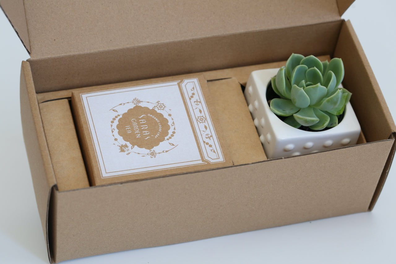 Succulent Gift Box with Tea - Small
