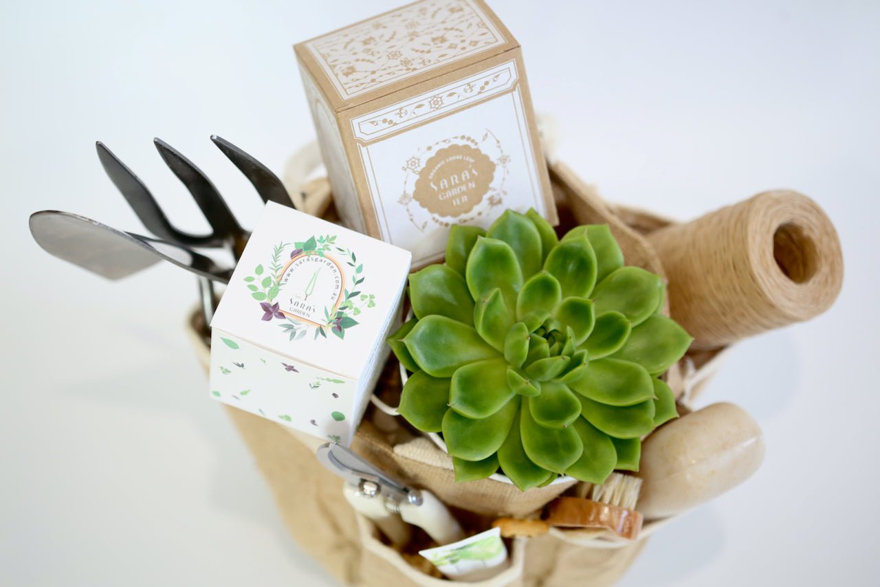 Gardening Bag Gift Set With Large Succulent