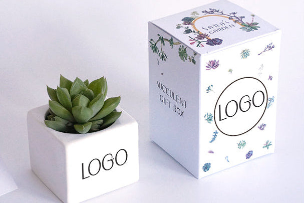 Branded Succulent Gift Box for Corporate Gifting with Logo