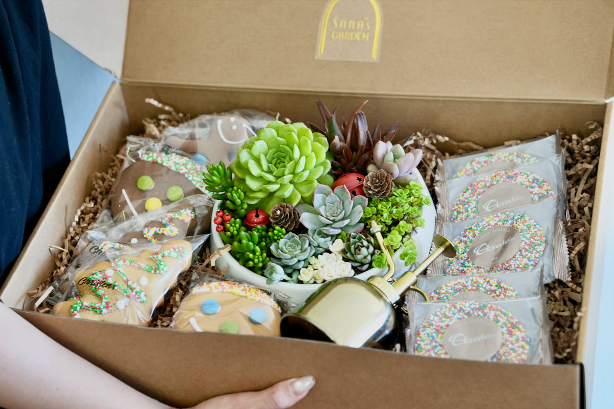 Large Christmas Corporate Gift Hamper | Office Plant & Sweet Treats