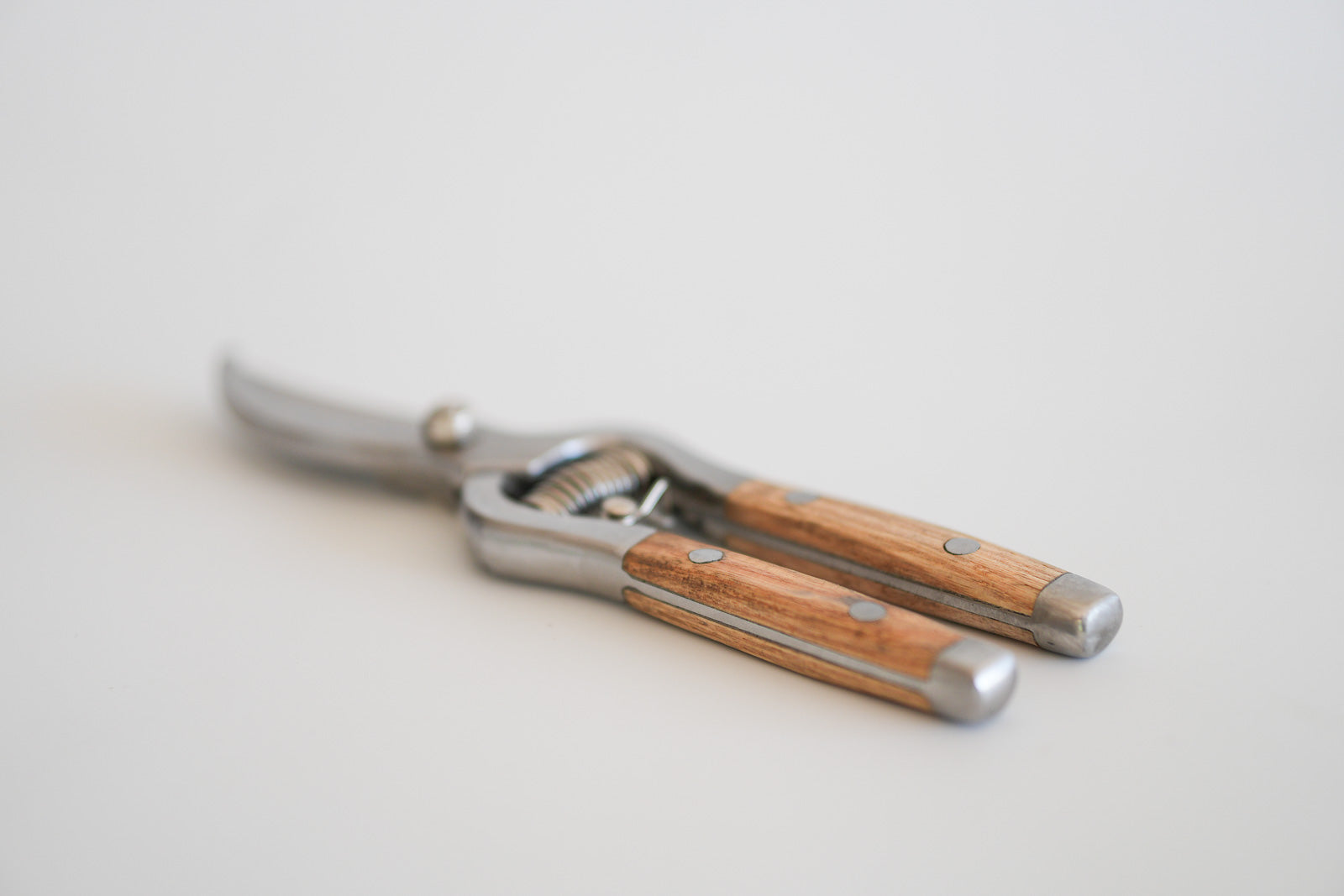 Artisan Stainless Steel Pruning Snips