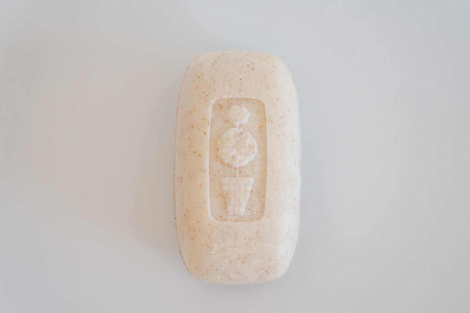 Exfoliating Soap Bar - 250G