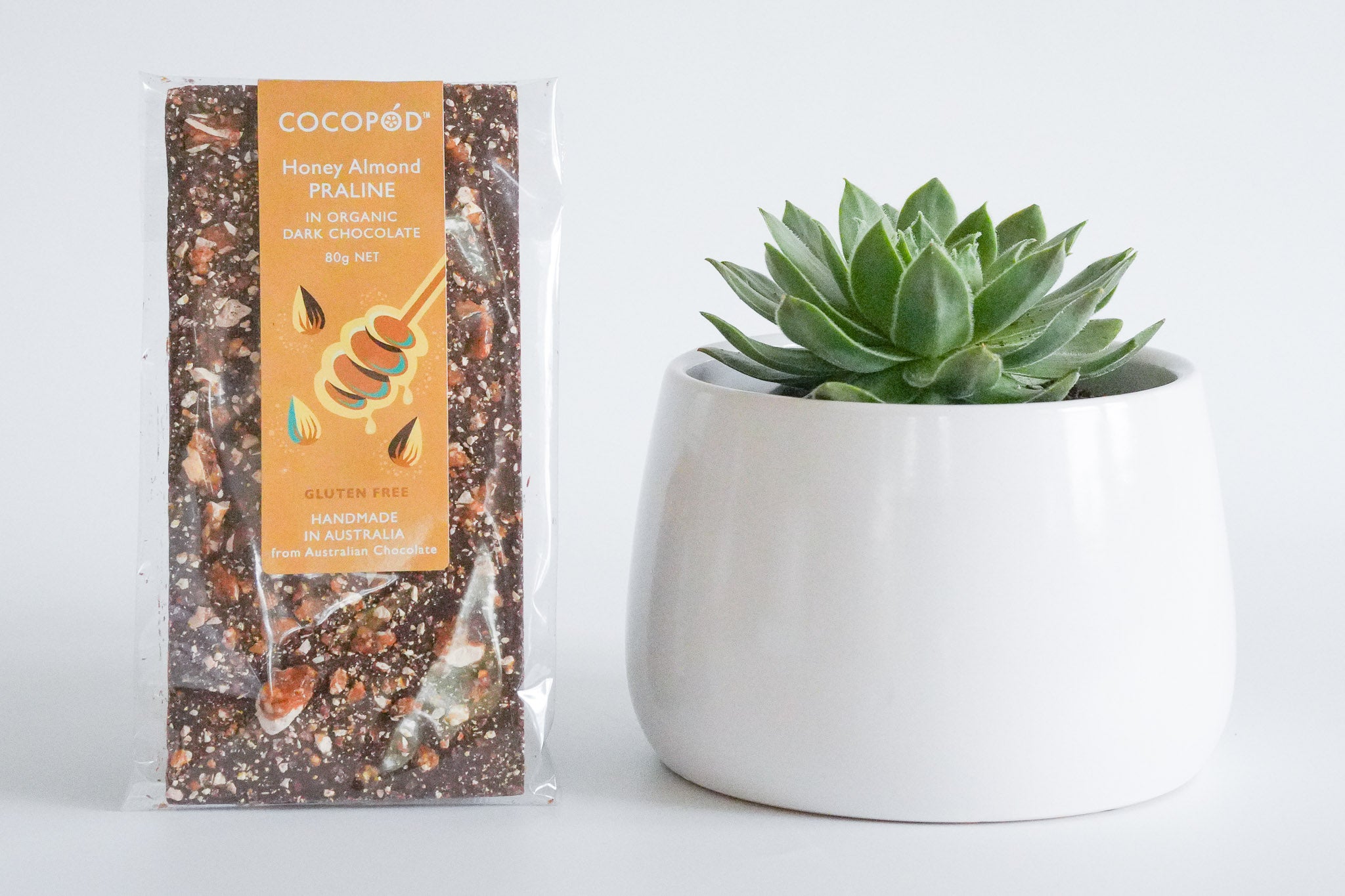Succulent Gift Box with Chocolate