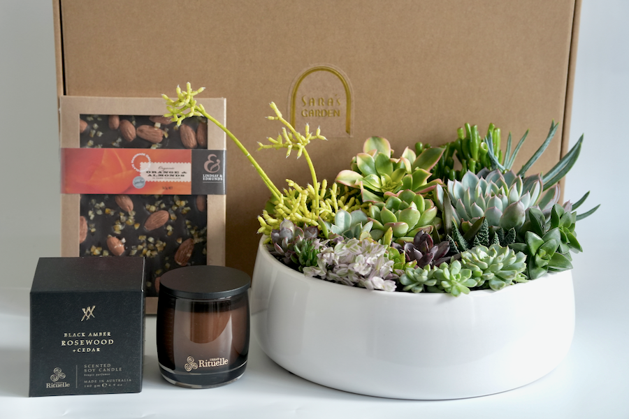 Large succulent arrangement in white ceramic bowl with scented candle and artisan chocolate gift set