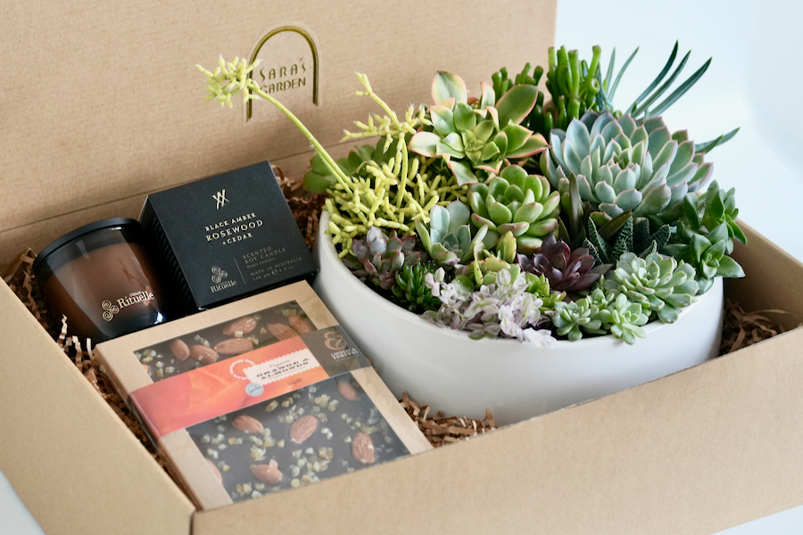 Large Succulent Arrangement with Candle & Chocolate – Sydney Delivery