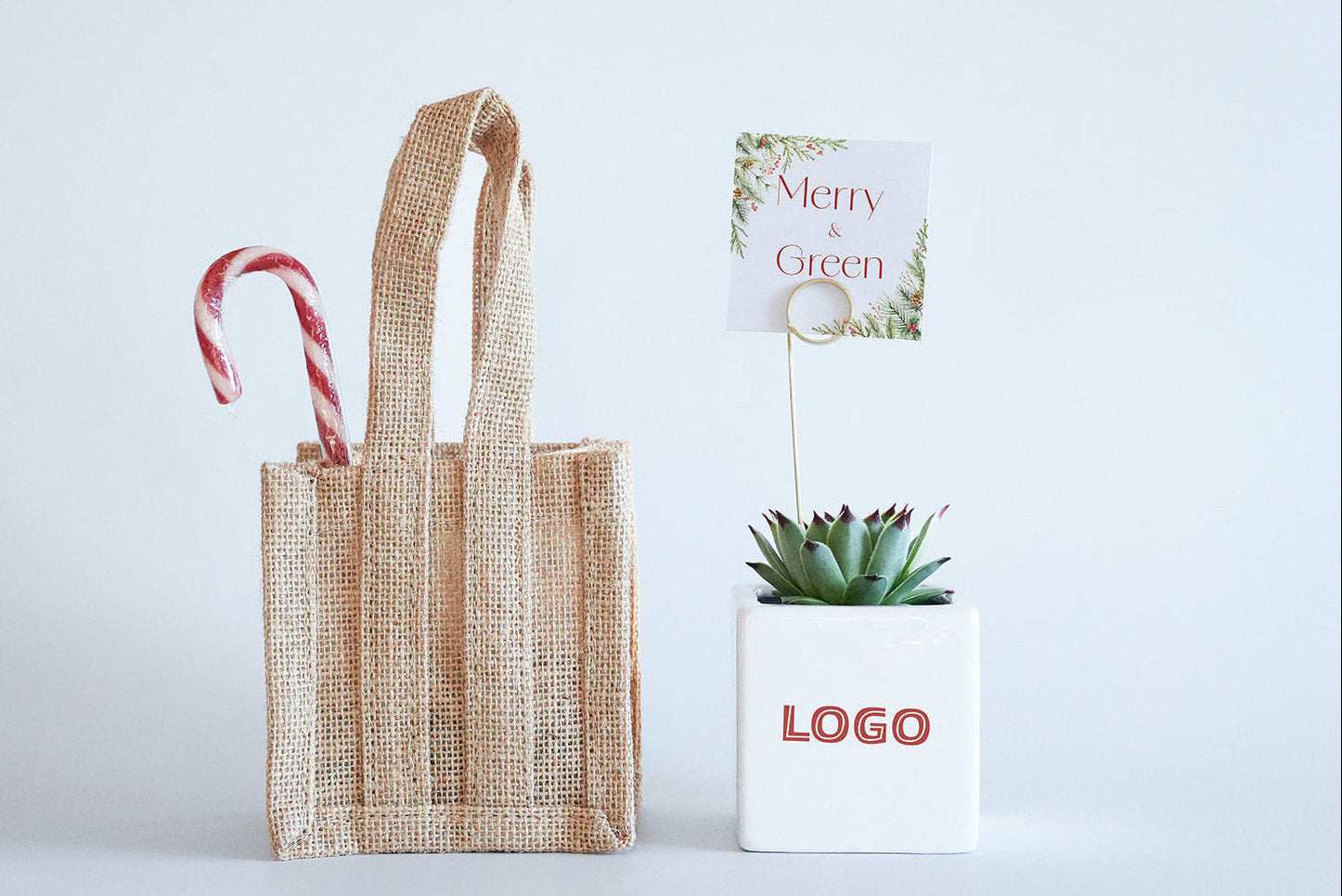 Christmas succulent gift in white square ceramic pot with printed logo, Jute bag and gift card and card holder 