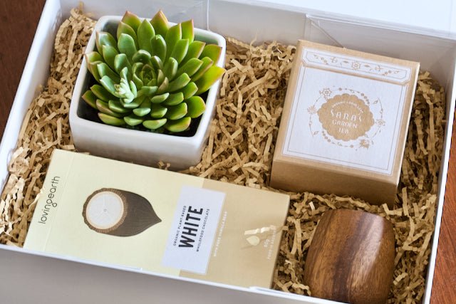 Succulent Gift Box - Mother's Day