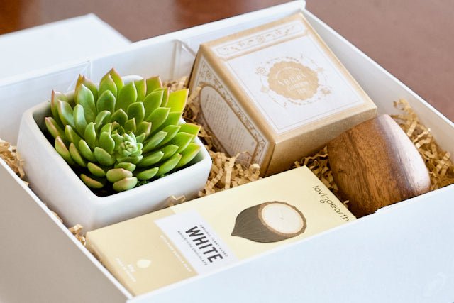 Succulent Gift Box - Mother's Day