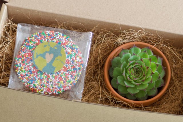 Earth Day Succulent Gift Box - Small