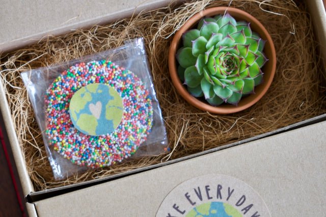 Earth Day Succulent Gift Box - Small