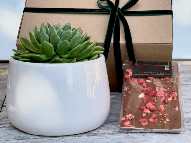 Succulent Gift Box with Chocolate