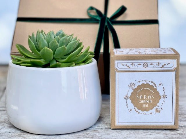 Succulent Gift Box with Tea - Large