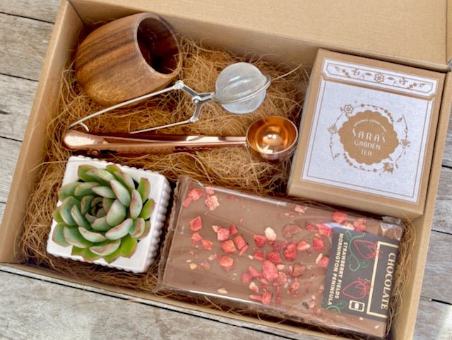 Organic Tea Hamper & Succulent / Tea with Handmade Chocolate & Live Plant