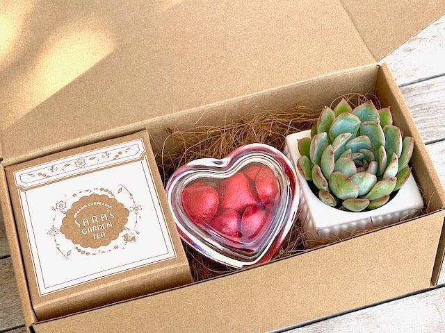 Valentine's Succulent Gift Hamper