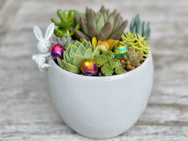 Easter succulent arrangement / Succulent with Easter egg & bunny