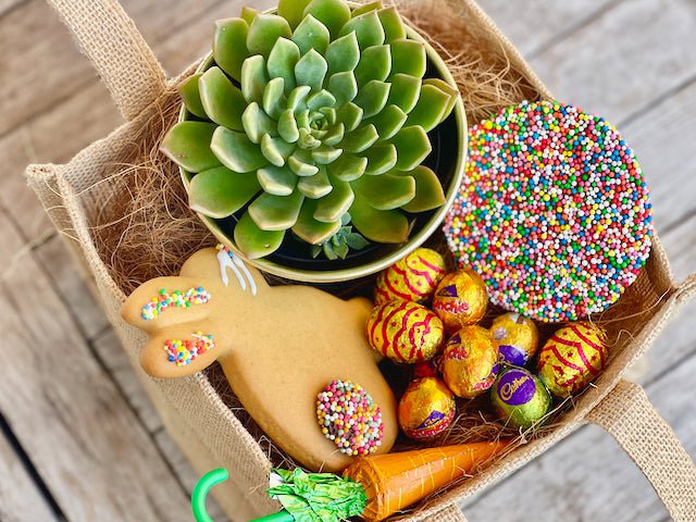 Easter Succulent Basket with chocolate and cookie