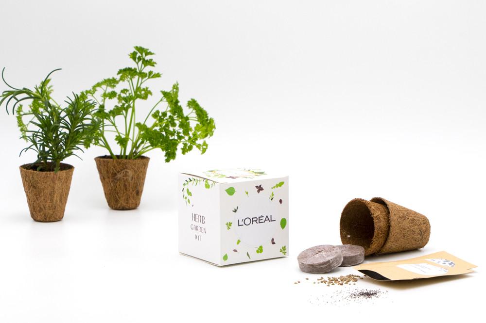 Organic Herb Garden kit 1