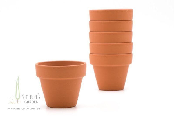 Mini Terracotta Pot - DIY Succulent favours - Kids Birthday Parties