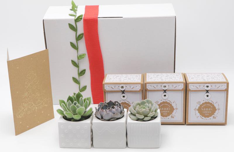 Succulents & Tea Gift Box No.2