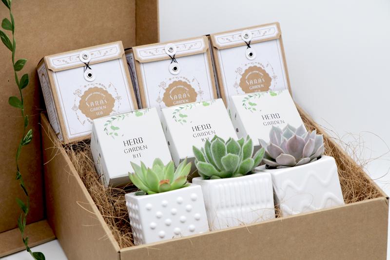 Succulents & Teas Gift Box No.1