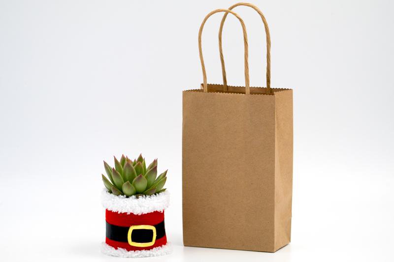 Santa Succulent Gift