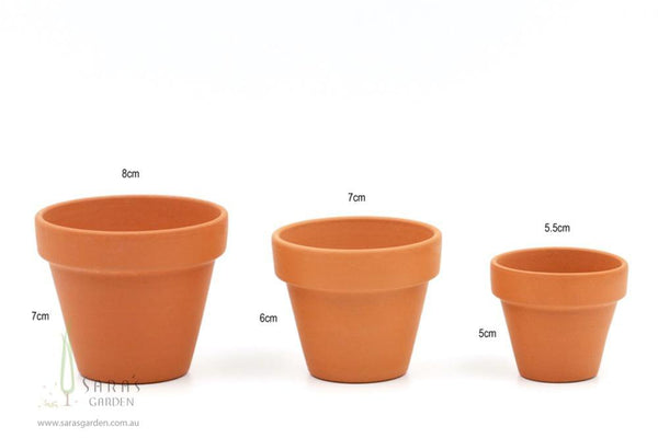 Mini Terracotta Pot - DIY Succulent favours - Kids Birthday Parties