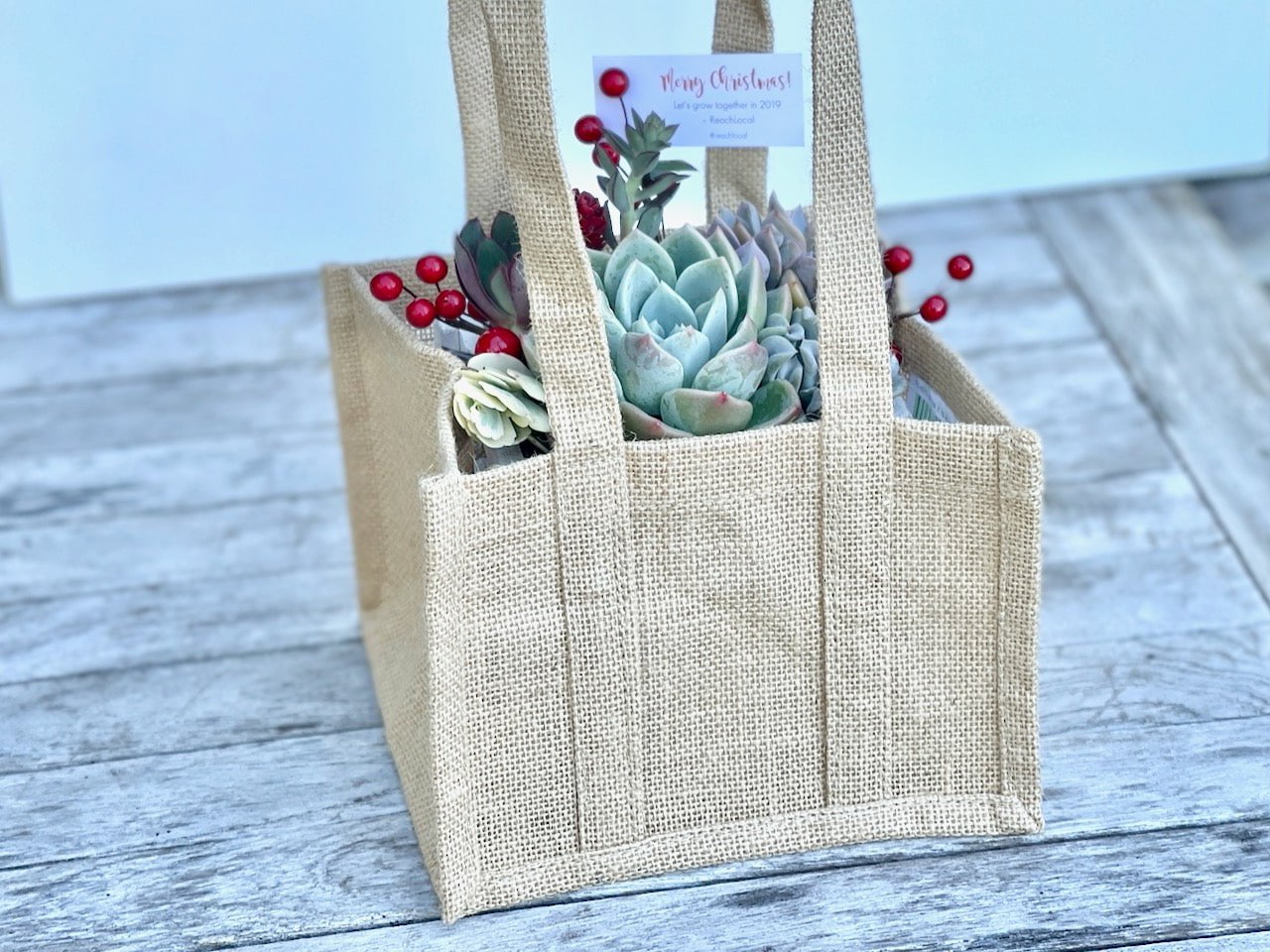 Christmas Succulent Garden in Wooden Box